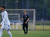 MLN04013
