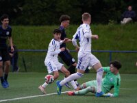 MLN04179