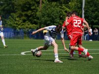 MLN05475