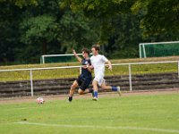 MLN06004