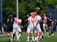 MLN09709