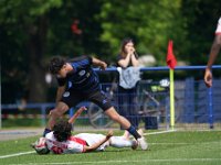 MLN09758