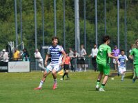 MLN07281
